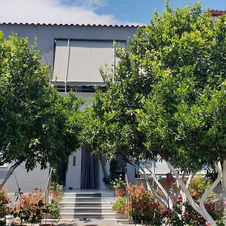 Guesthouse Anila Divjake Exterior foto