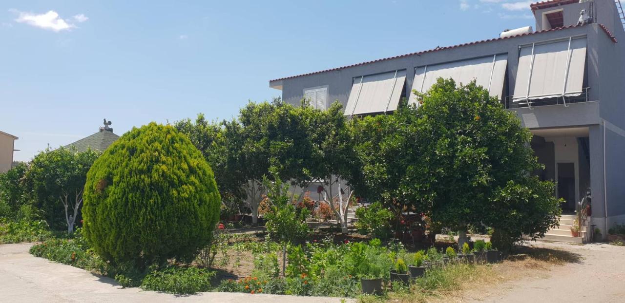 Guesthouse Anila Divjake Exterior foto