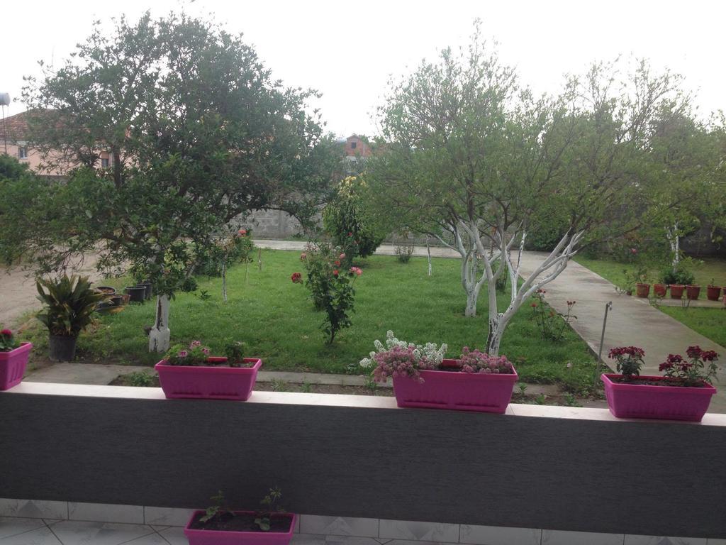 Guesthouse Anila Divjake Exterior foto