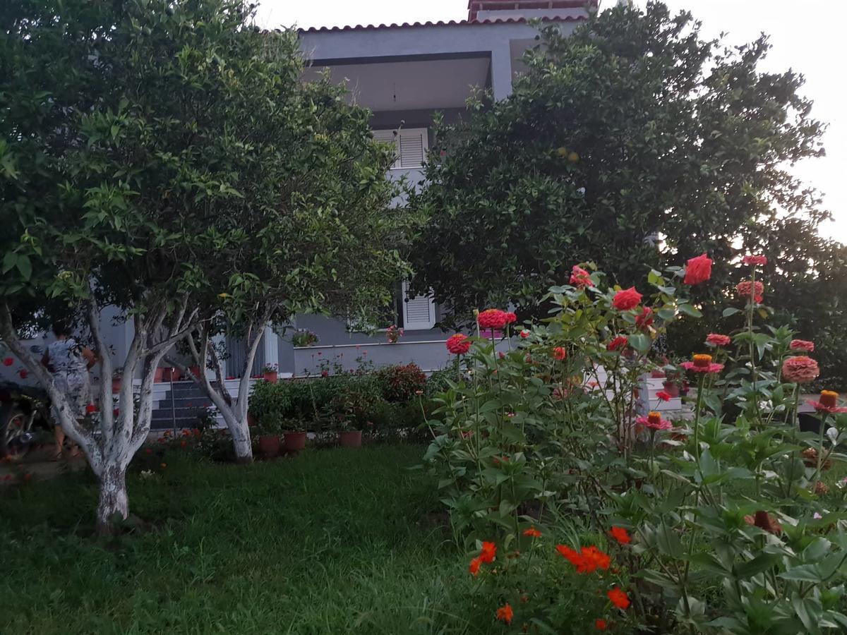 Guesthouse Anila Divjake Exterior foto